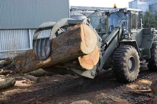 Moving the logs